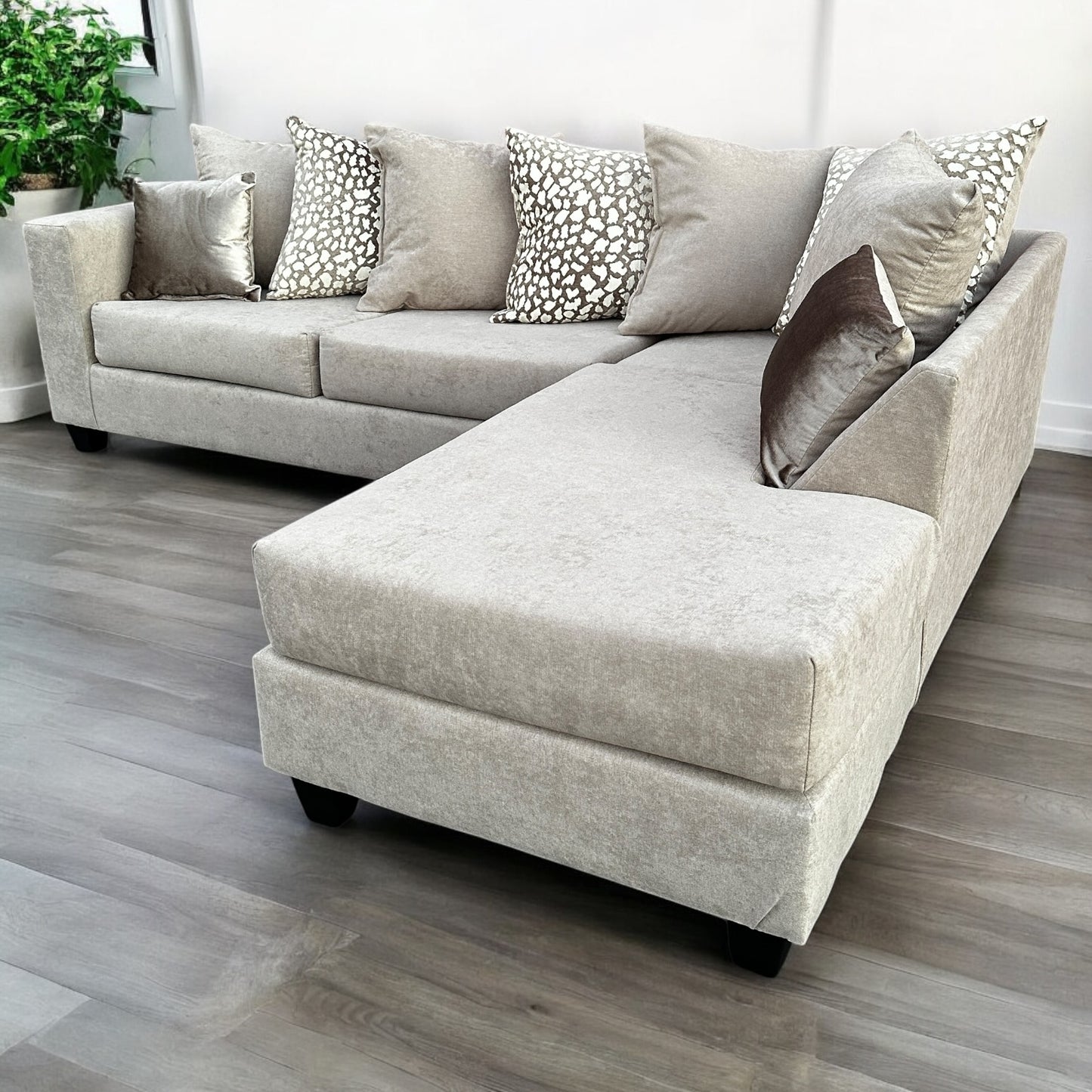 Happy Homes Sectional Couch