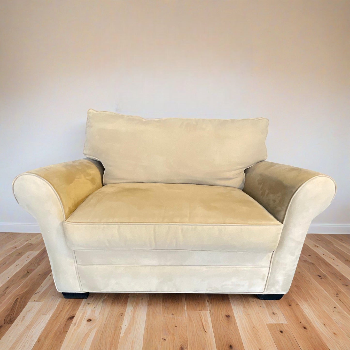 Cindy Crawford Sleeper Sofa and Loveseat