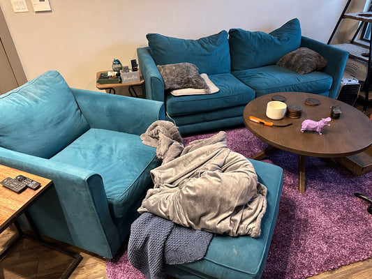 Sleeper Sofa & Chair Set (Pending Cleaning)
